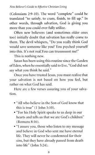 New Believer’s Guide to Effective Christian Living By Greg Laurie