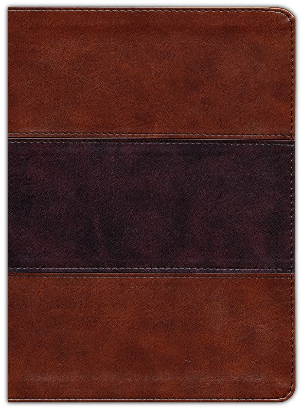 CSB Apologetics Study Bible, Mahogany LeatherTouch, Thumb-Indexed