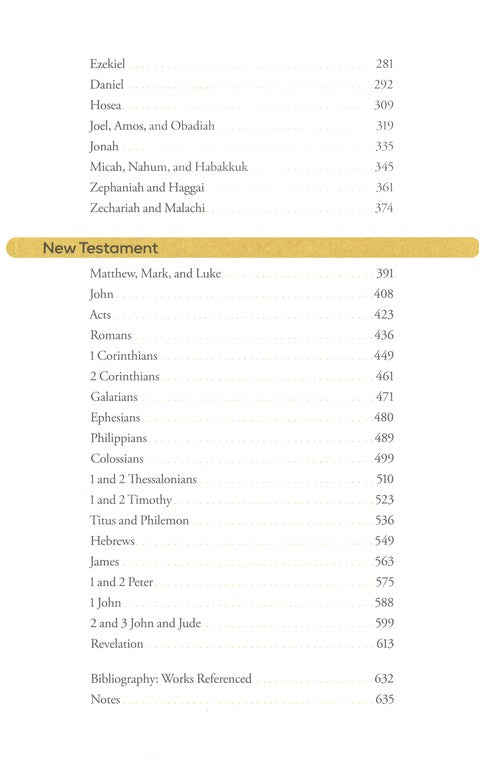 The Bible from 30,000 Feet: Book and Workbook Bundle by Pastor Skip Heitzig