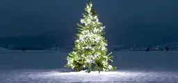 Christmas Collection - Streaming Videos