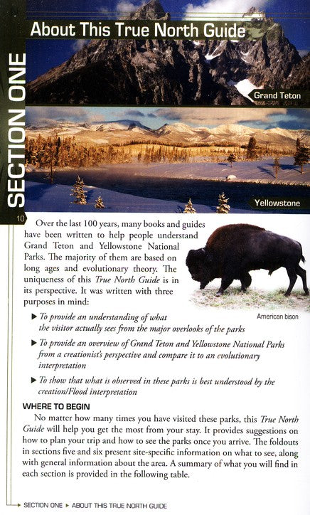 Your Guide To Yellowstone & Grand Teton National Parks